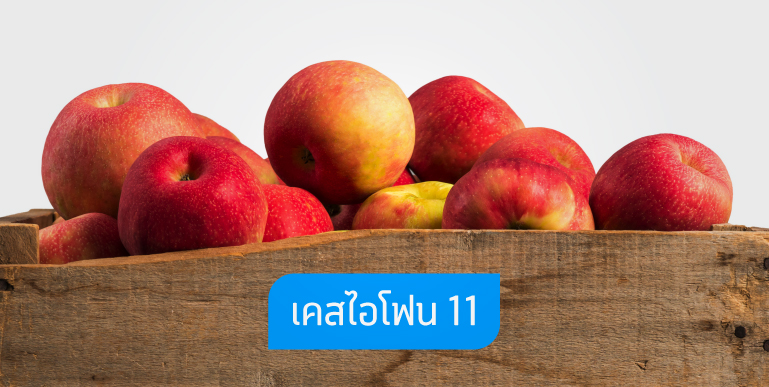 เคสไอโฟน 11, เคส iPhone 11