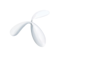 dtac