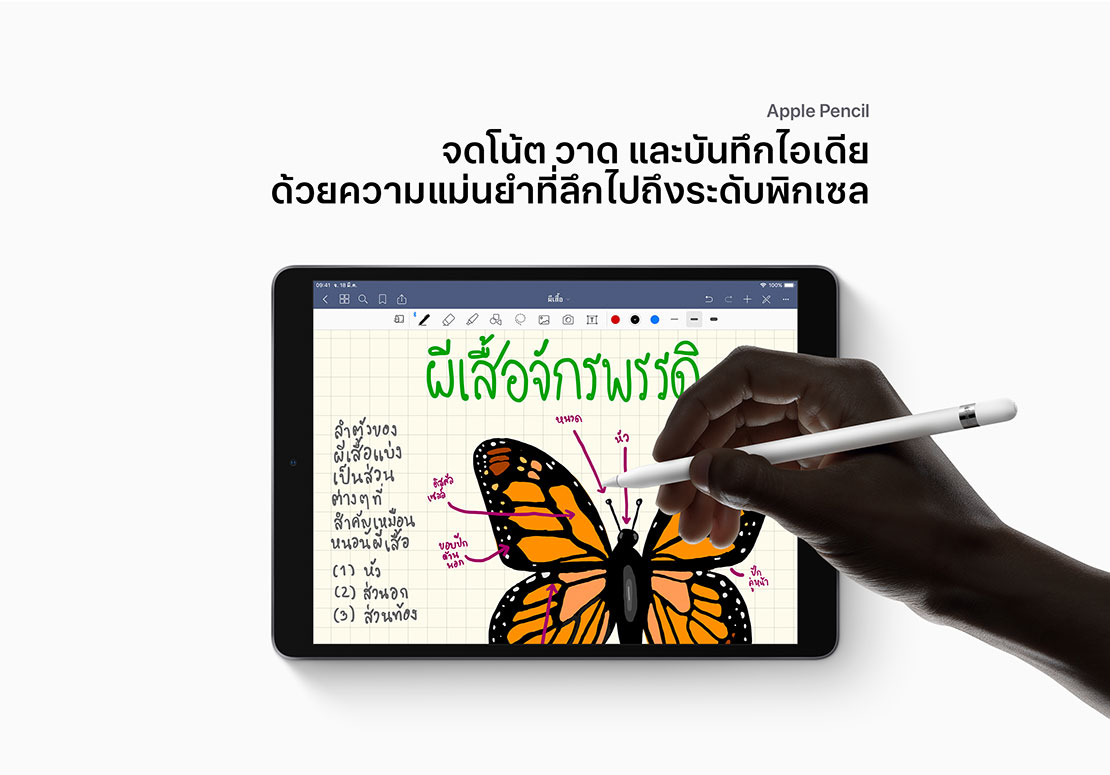 iPad Air
