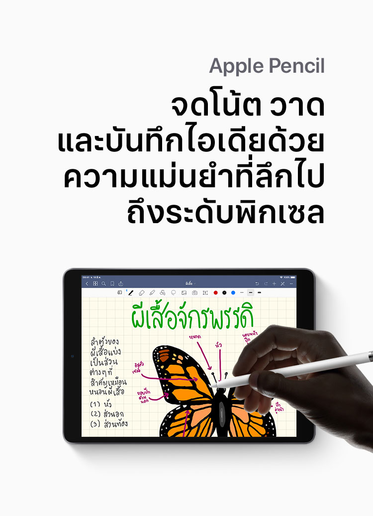 iPad Air
