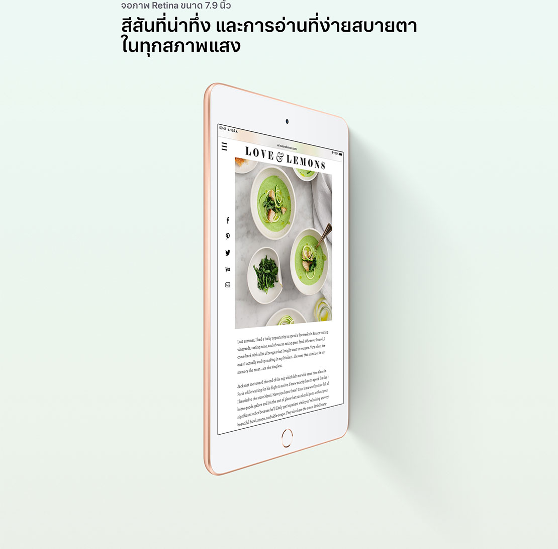 iPad mini