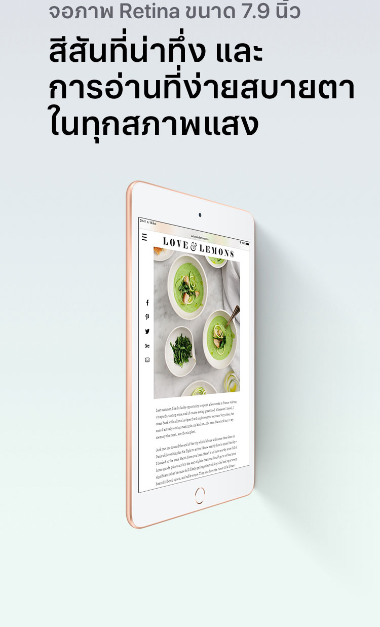 iPad mini