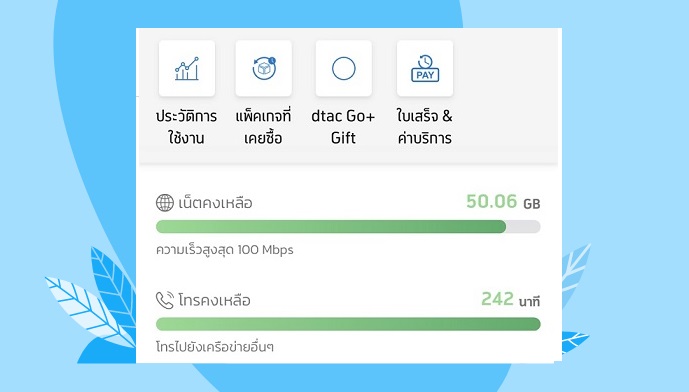 เช็คเน็ตคงเหลือ และวันหมดอายุบนมือถือ ทำยังไง | Dtac